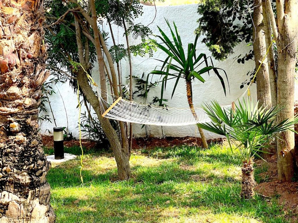 Dar Maria - Maison D'Hotes Aouchtame Bni Said Luaran gambar